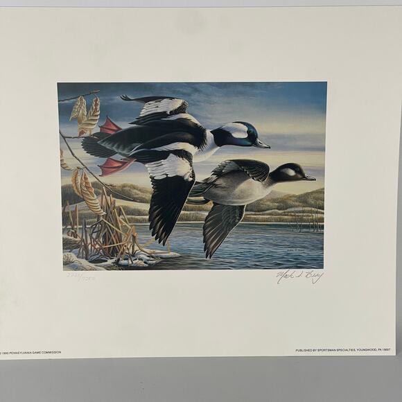 Pennsylvania Waterfowl Management Stamp Print Bufflehead Ducks 1995 #2235/7380 - Picture 1 of 4